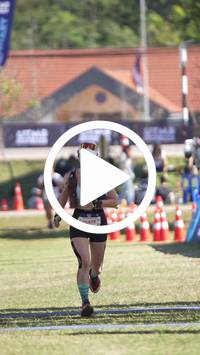 BIB:  <button type="button" onclick="openModal(26565313)" class="btn btn-primary btn-sm float-right" data-toggle="modal" data-target=".modal-high-quality">
                <i class="fa fa-download"></i> Download
                </button>